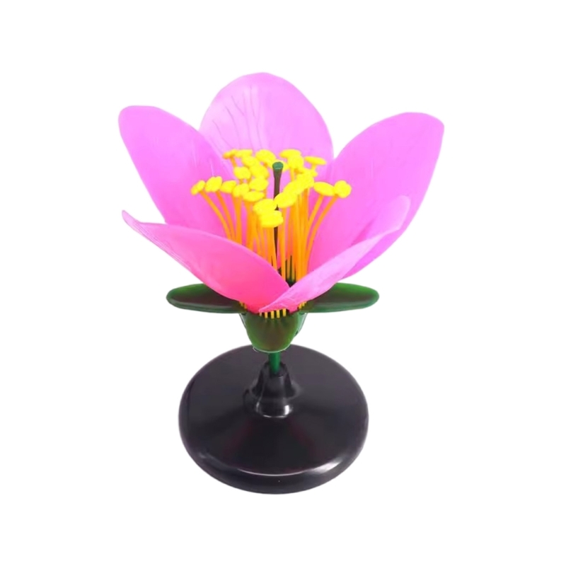 K9FC Realistic Plant Teaching  - Science Exhibition Models recensione e prezzo