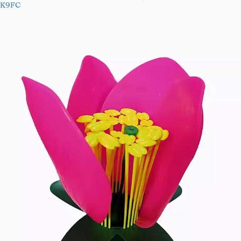 K9FC Realistic Plant Teaching  - Science Exhibition Models recensione e prezzo