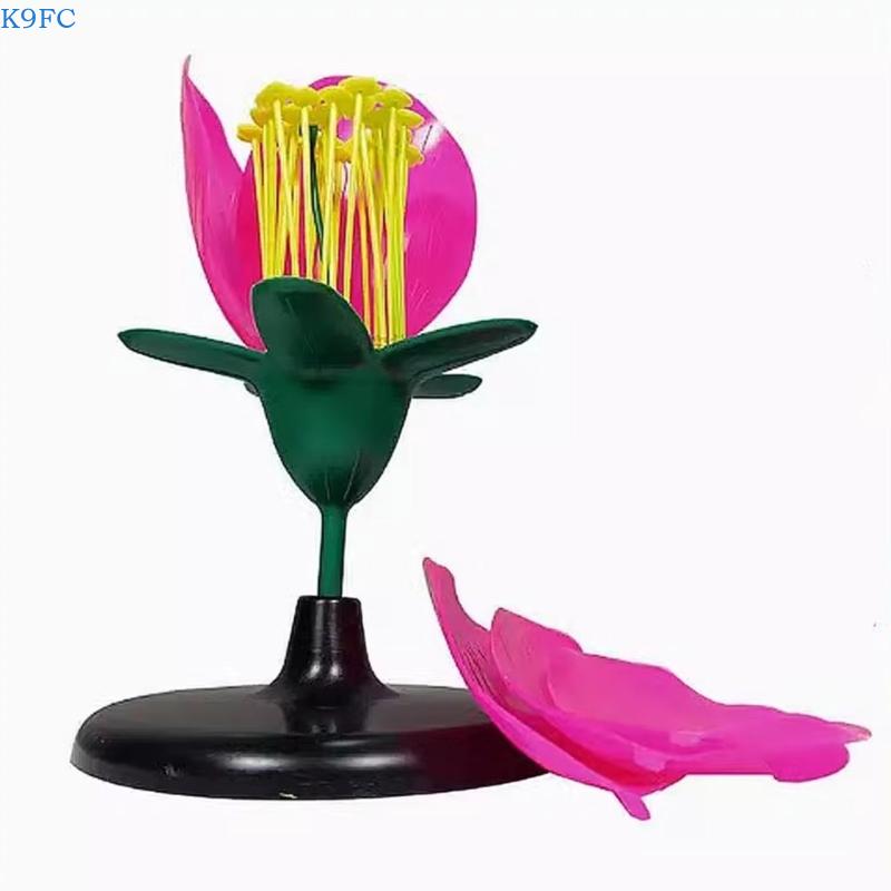 K9FC Realistic Plant Teaching  - Science Exhibition Models recensione e prezzo