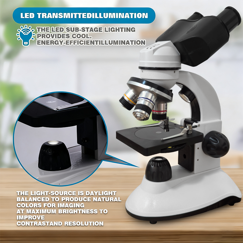 Binocular Compound Microscope  - Microscope Compound 40X recensione e prezzo