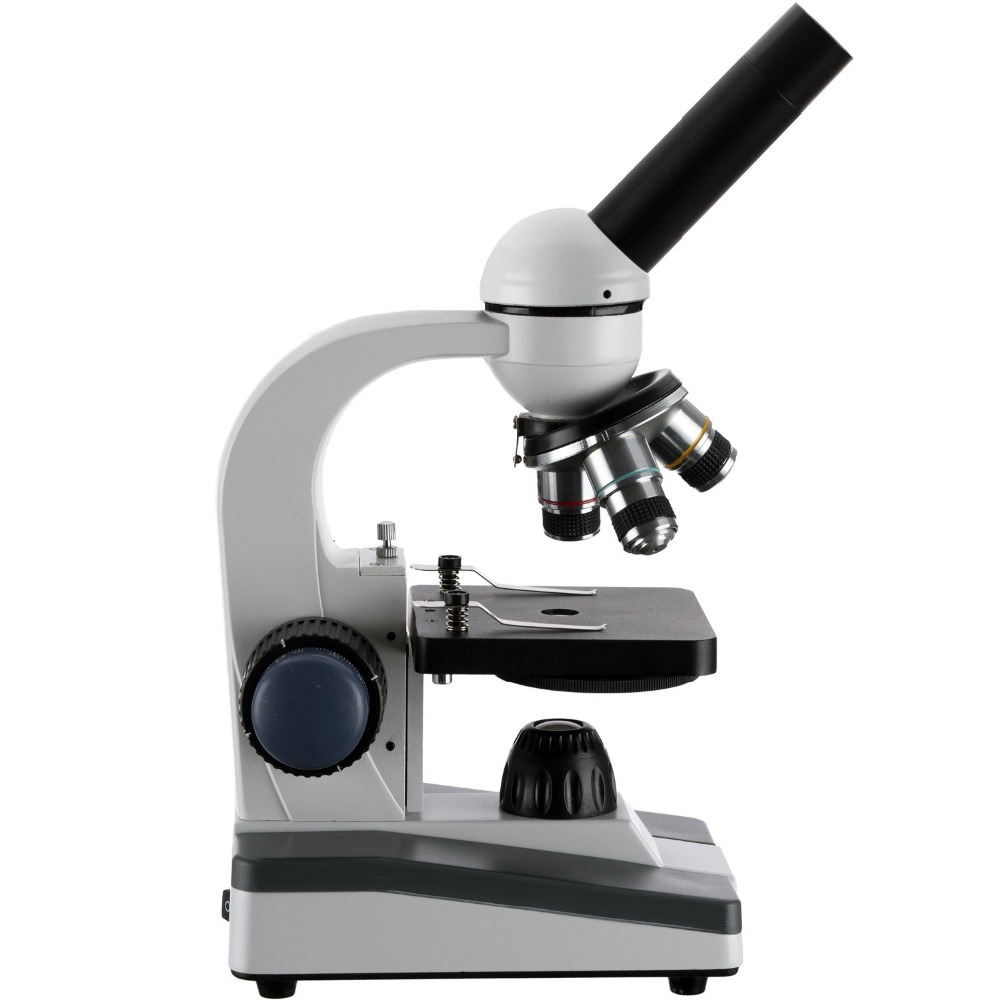 AmScope M150 Series Portable L - Microscope Compound 40X recensione e prezzo