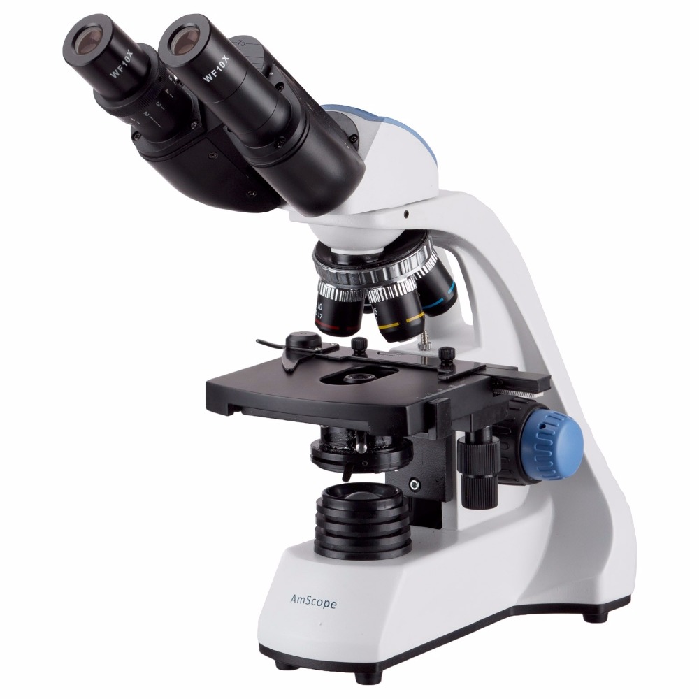 AmScope 40X-2000X LED Binocula - Microscope Compound 40X recensione e prezzo