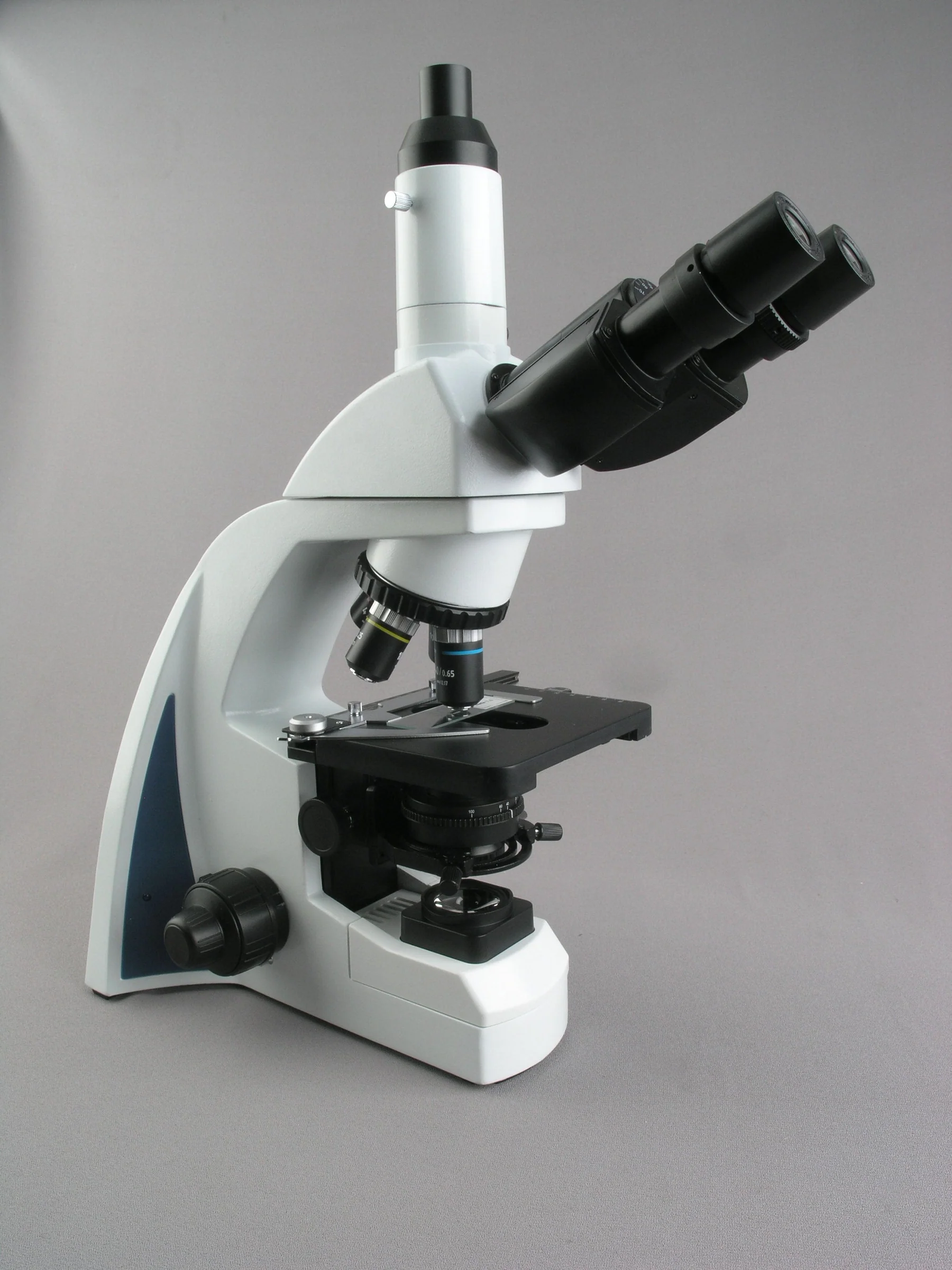 AmScope Infinity-Corrected Tri - Microscope Compound 40X recensione e prezzo