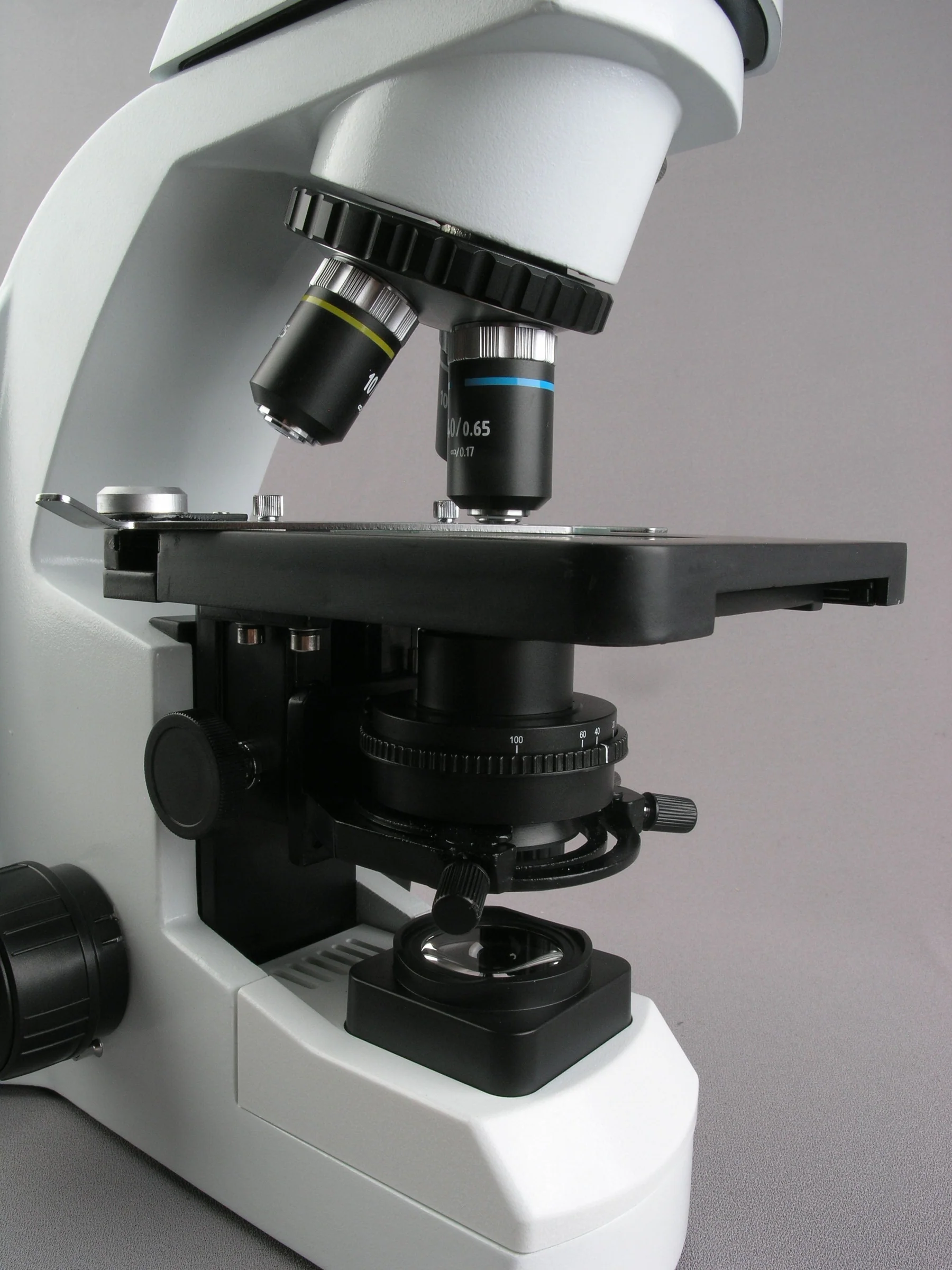 AmScope Infinity-Corrected Tri - Microscope Compound 40X recensione e prezzo