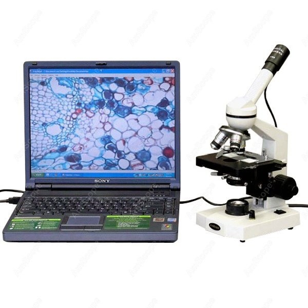 AmScope M600 Series Student Mo - Microscope Compound 40X recensione e prezzo