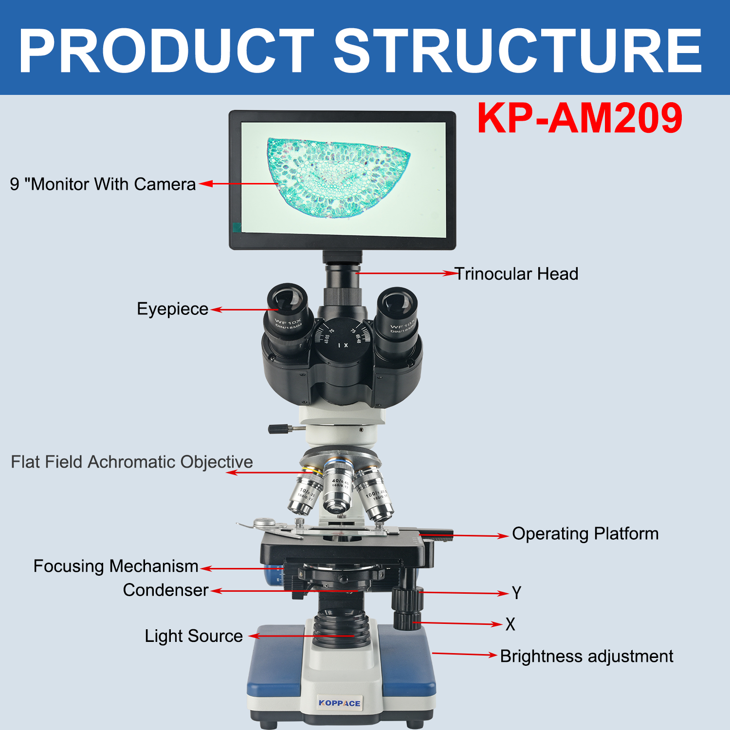 KOPPACE 40X-2500X Electron Com - Microscope Compound 40X recensione e prezzo