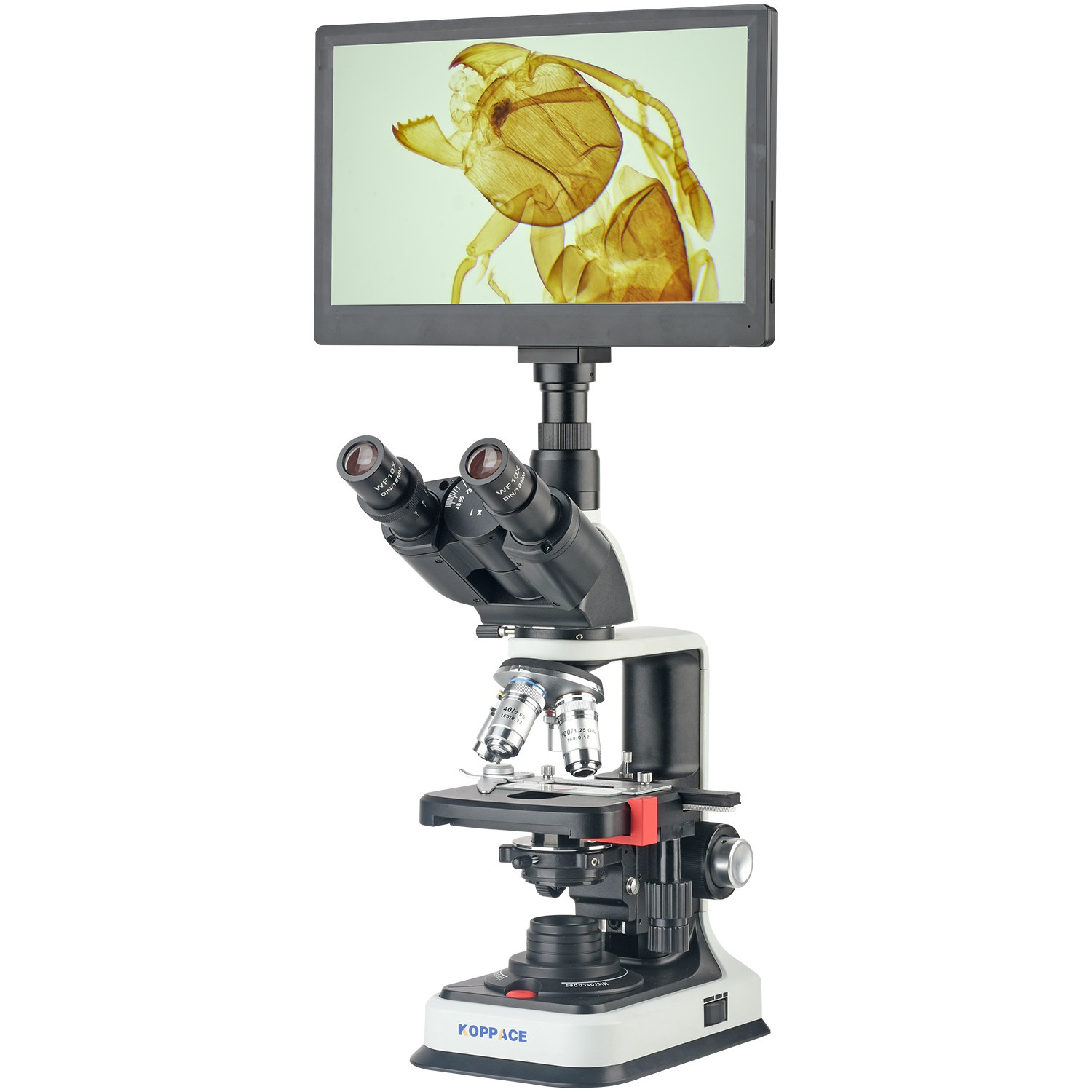 KOPPACE 40X-2500X Electron Com - Microscope Compound 40X recensione e prezzo