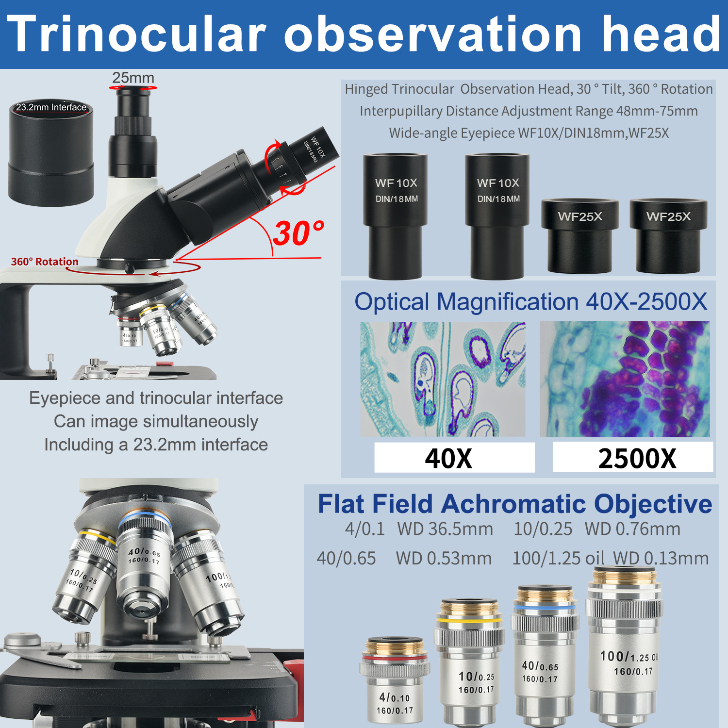 KOPPACE 40X-2500X Electron Com - Microscope Compound 40X recensione e prezzo