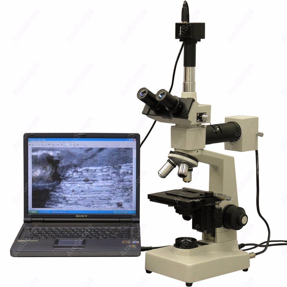 AmScope Metallurgical Trinocul - Microscope Compound 40X recensione e prezzo