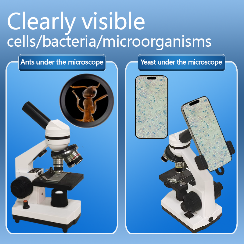 Portable Biological Optical Co - Microscope Compound 40X recensione e prezzo