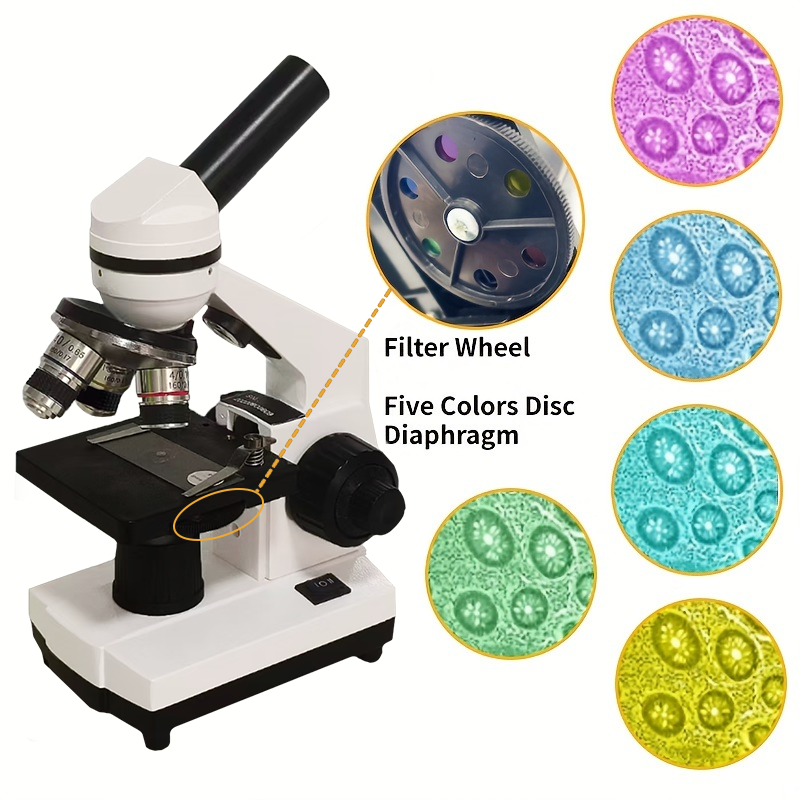 Portable Biological Optical Co - Microscope Compound 40X recensione e prezzo