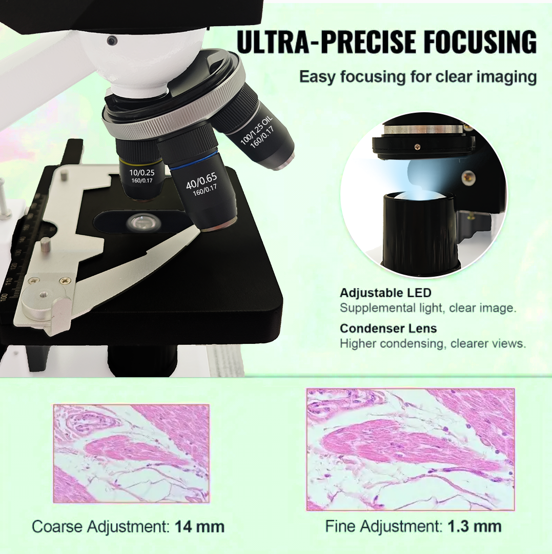 40X-2500X Professional Binocul - Microscope Compound 40X recensione e prezzo