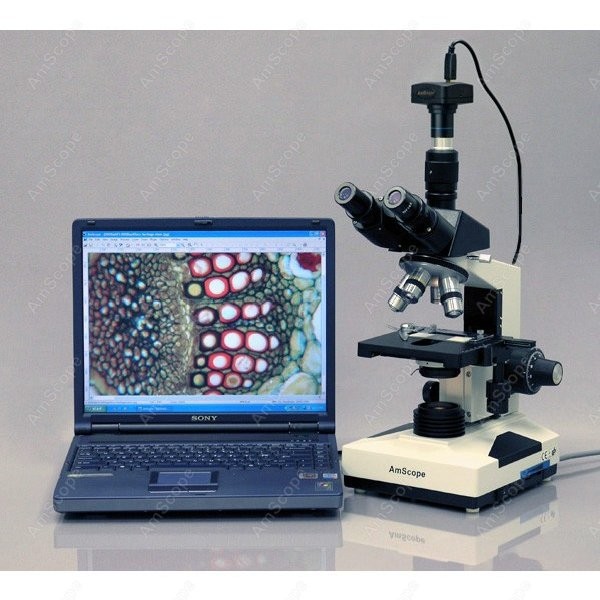 AmScope T490 Series Simul-Foca - Microscope Compound 40X recensione e prezzo