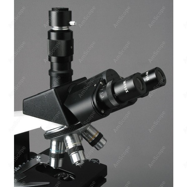 AmScope T490 Series Simul-Foca - Microscope Compound 40X recensione e prezzo