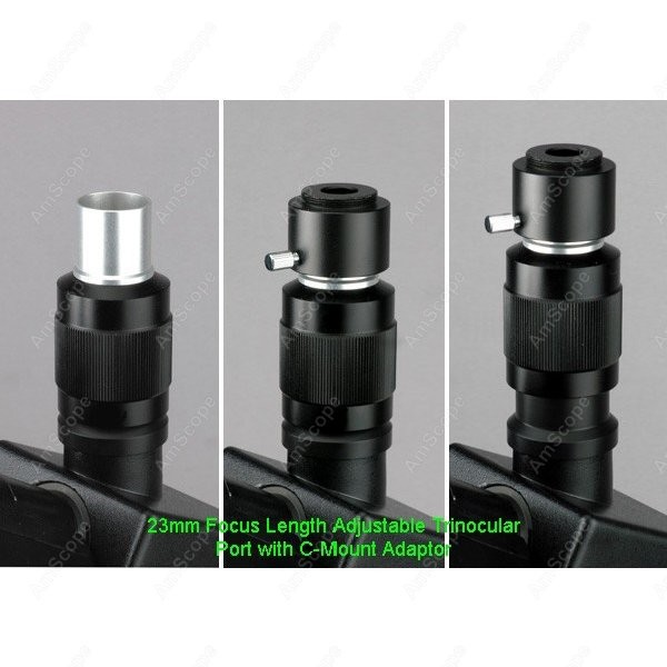 AmScope T490 Series Simul-Foca - Microscope Compound 40X recensione e prezzo