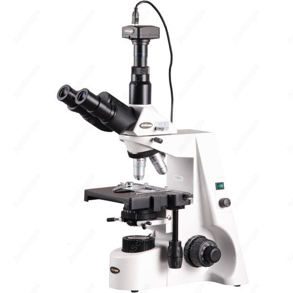 AmScope 40X-2500X Infinity Koh - Microscope Compound 40X recensione e prezzo