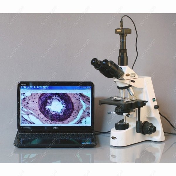 AmScope 40X-2500X Infinity Koh - Microscope Compound 40X recensione e prezzo