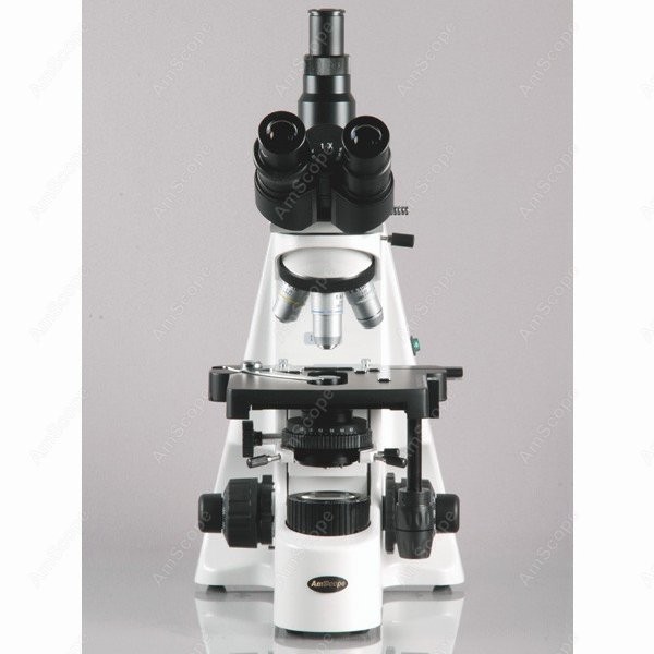 AmScope 40X-2500X Infinity Koh - Microscope Compound 40X recensione e prezzo