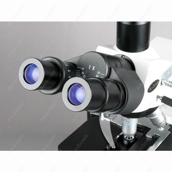 AmScope 40X-2500X Infinity Koh - Microscope Compound 40X recensione e prezzo