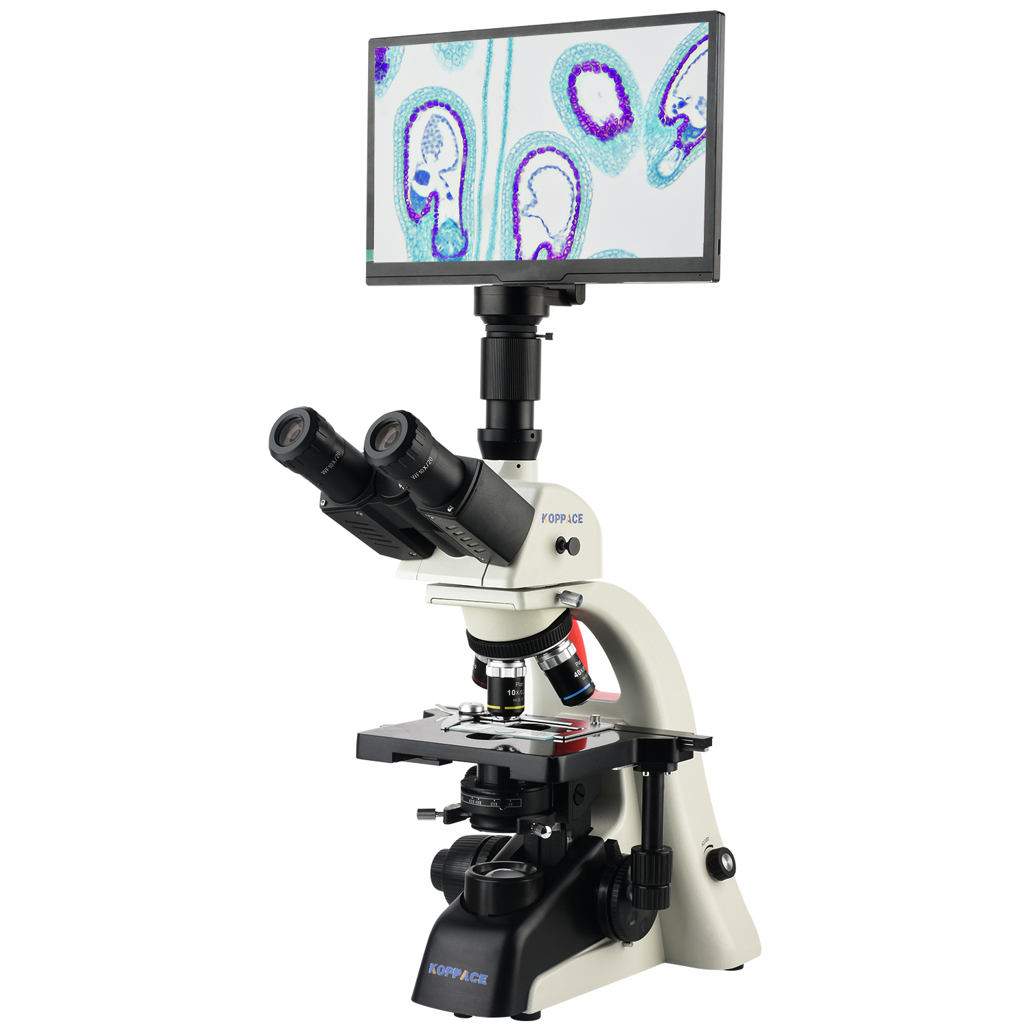 KOPPACE 40X-1600X Electron Com - Microscope Compound 40X recensione e prezzo