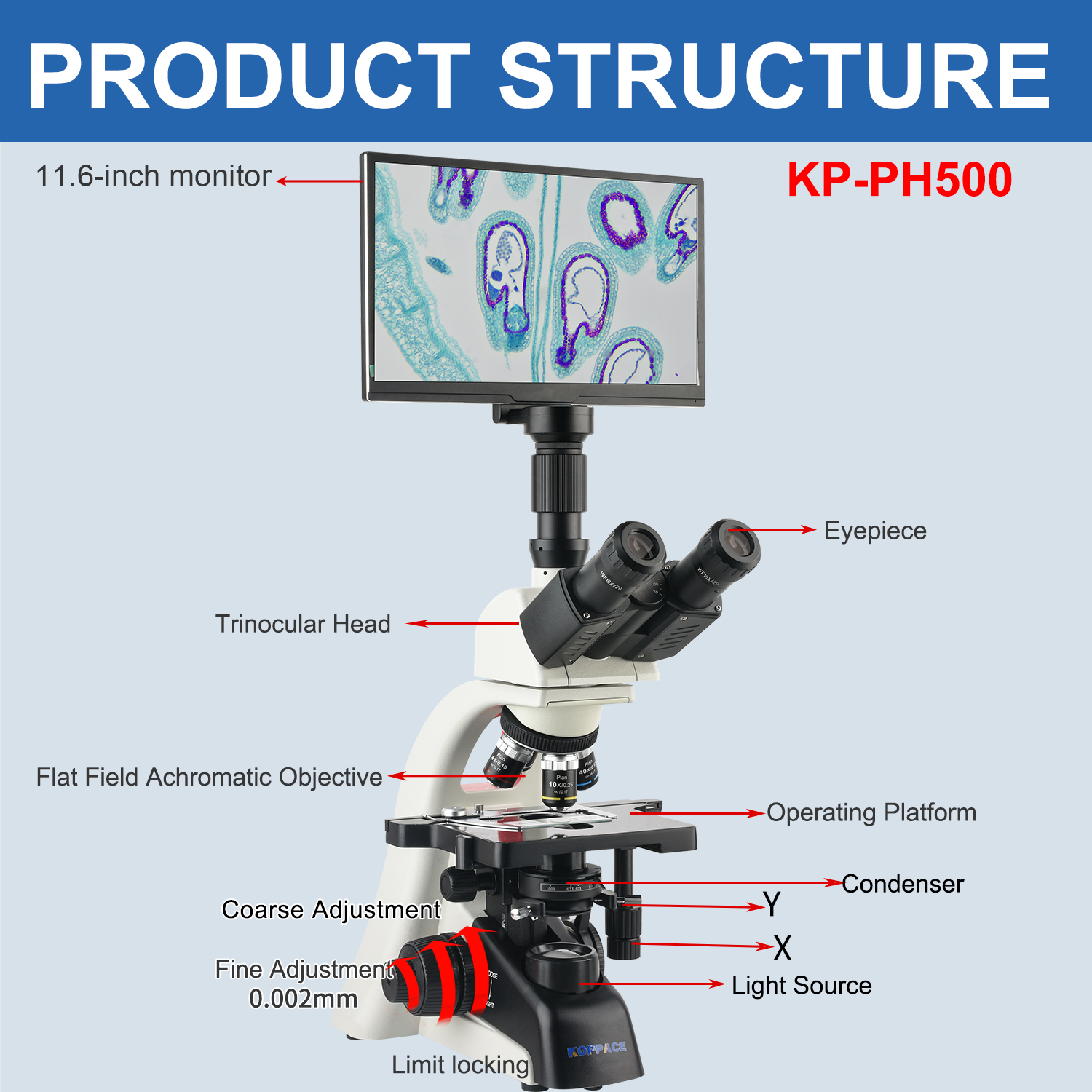KOPPACE 40X-1600X Electron Com - Microscope Compound 40X recensione e prezzo