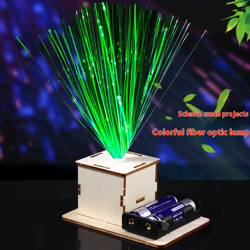 DIY Fiber Optic Lamp STEM Educ - Newton Cradle Large recensione e prezzo