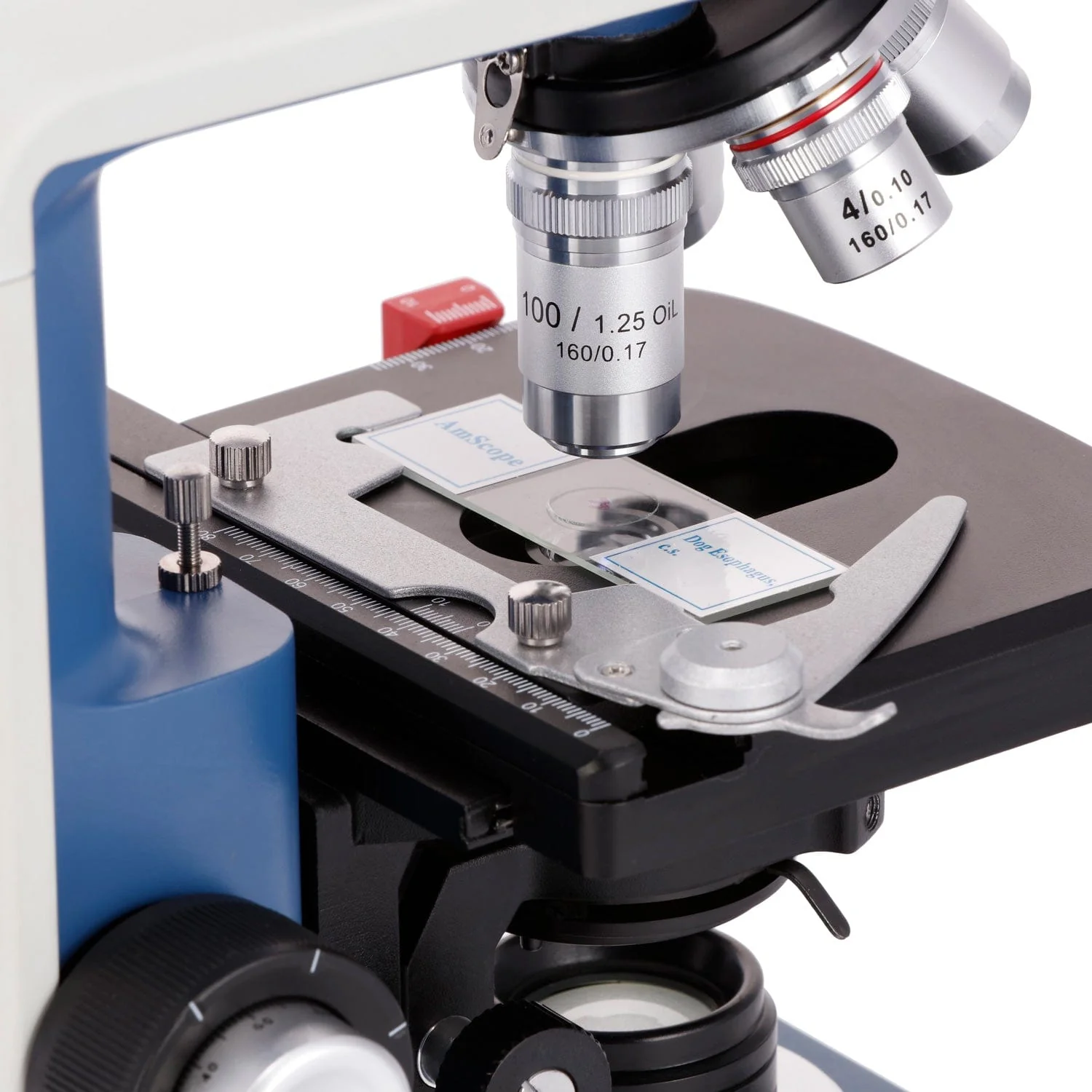 AmScope 40X-2500X USB-C Rechar - Microscope Compound 40X recensione e prezzo