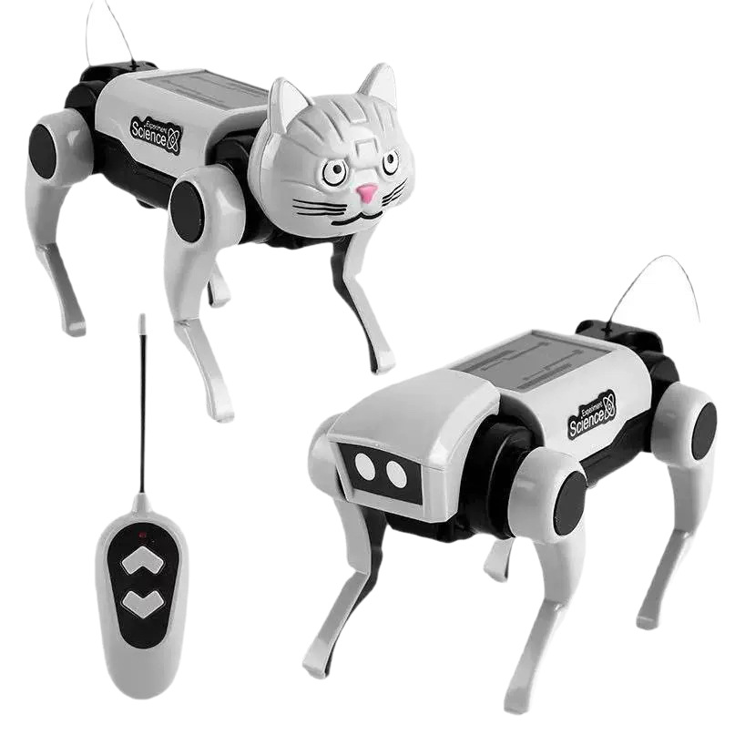 Remote Control Diy Assembly Wa - Is Learning Science A Hobby recensione e prezzo