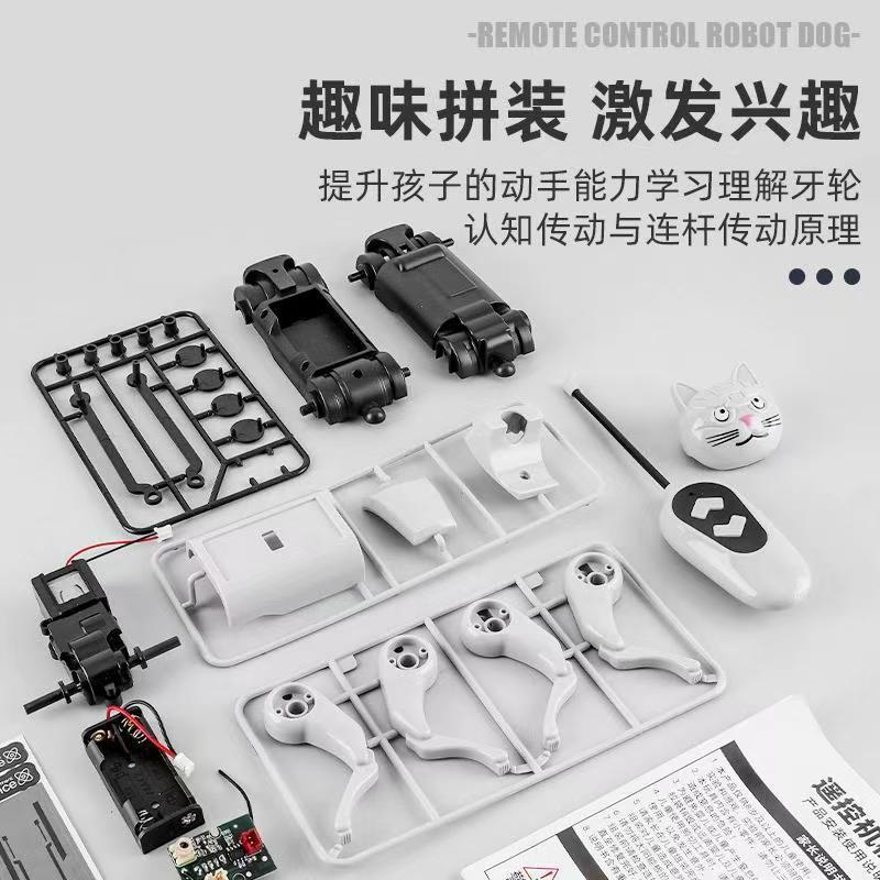Remote Control Diy Assembly Wa - Is Learning Science A Hobby recensione e prezzo
