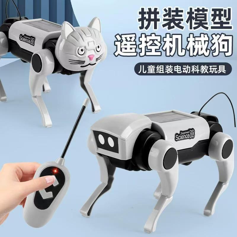 Remote Control Diy Assembly Wa - Is Learning Science A Hobby recensione e prezzo