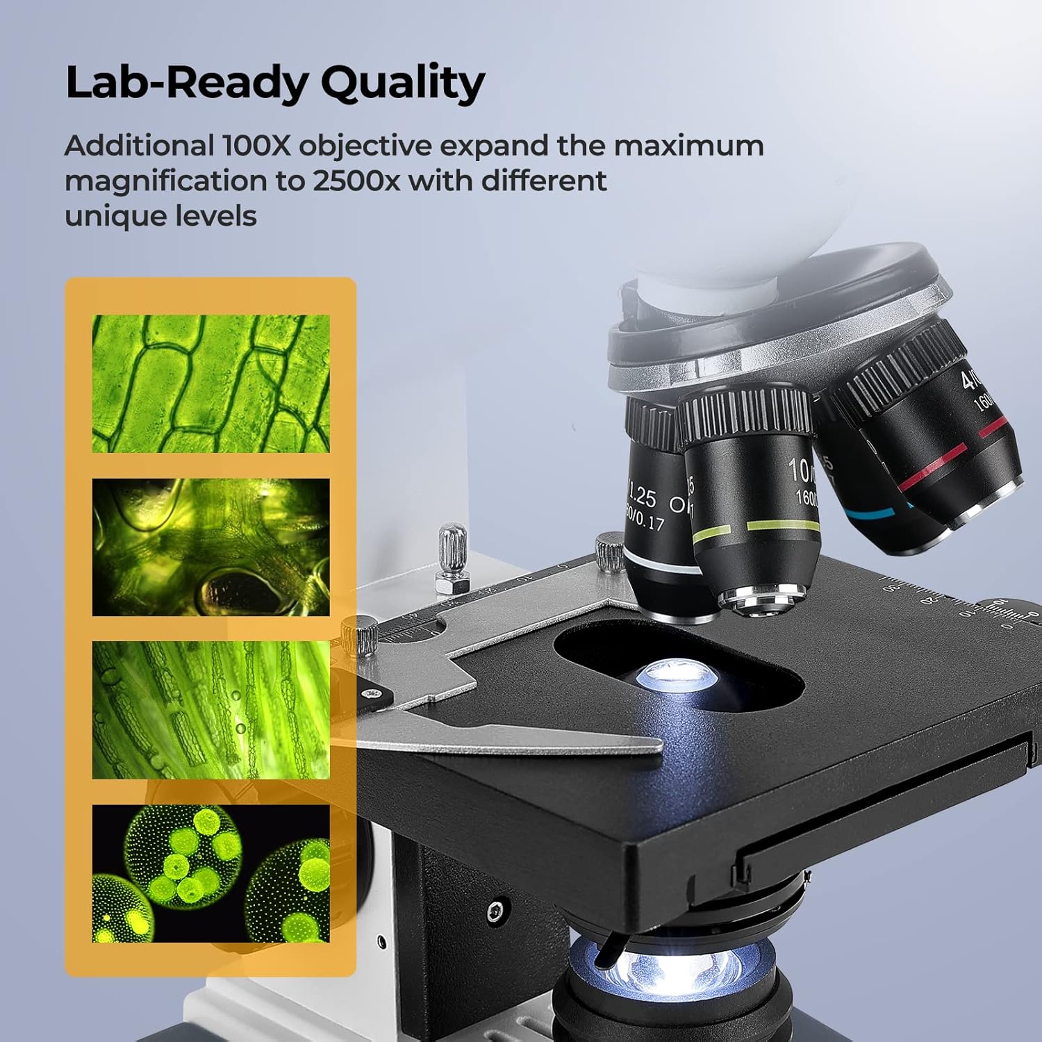 40X-2500X Trinocular Compound  - Microscope Compound 40X recensione e prezzo